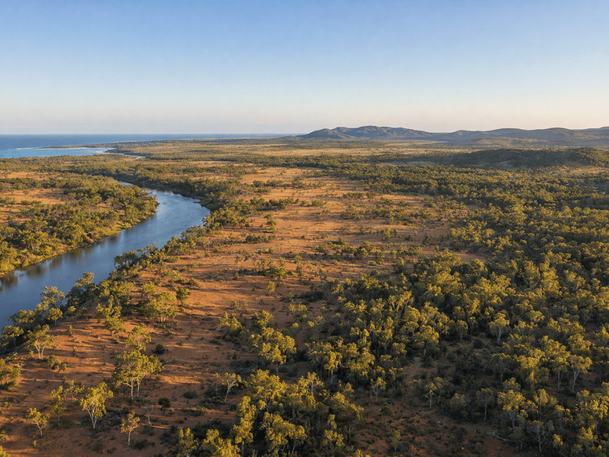 NGER in Focus: End-of-Year Opportunities and Why Preparation Matters More Than&nbsp;Ever